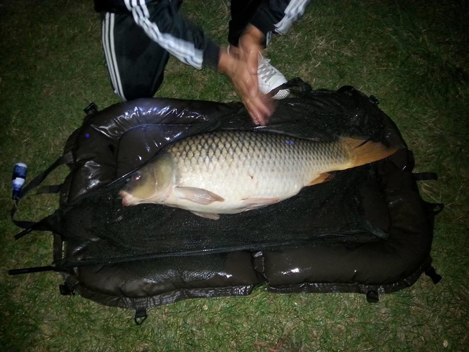 Moara Vlasiei 2 25 - 26 august 2015 - 118999029641696369553746364887988185588717n.jpg